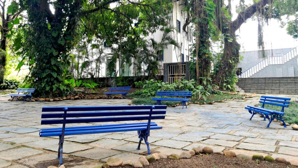 Jardim